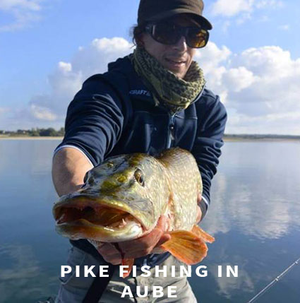 Pike fishing in Aube